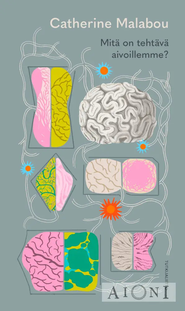 Mitä On Tehtävä Aivoillemme? Kirjat