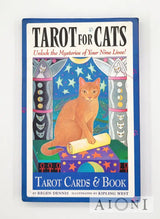 Tarot For Cats